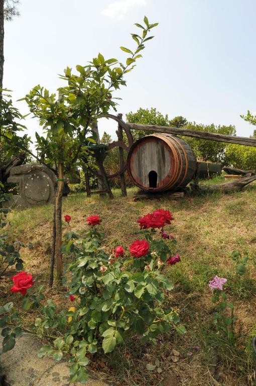 Hotel Archimede Reggello